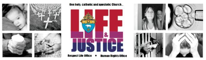 0603_Life&Justice Logo