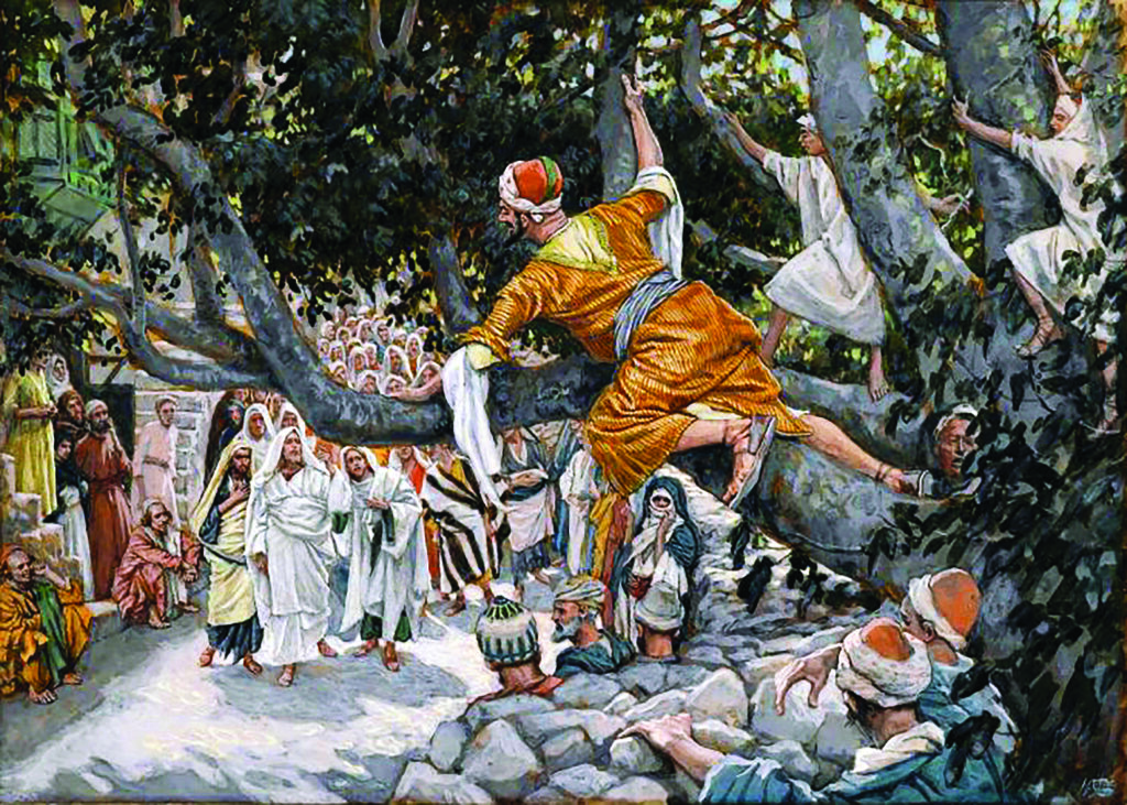 Zacchaeus in the sycamore awaiting the passage of Jesus, painting by James Tissot kept in Brooklyn Museum